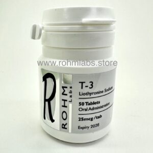 T3
